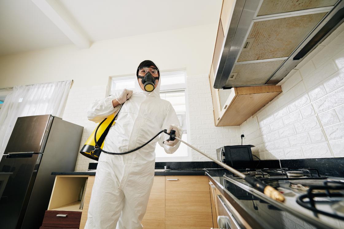 Professional technician spraying pest control chemicals