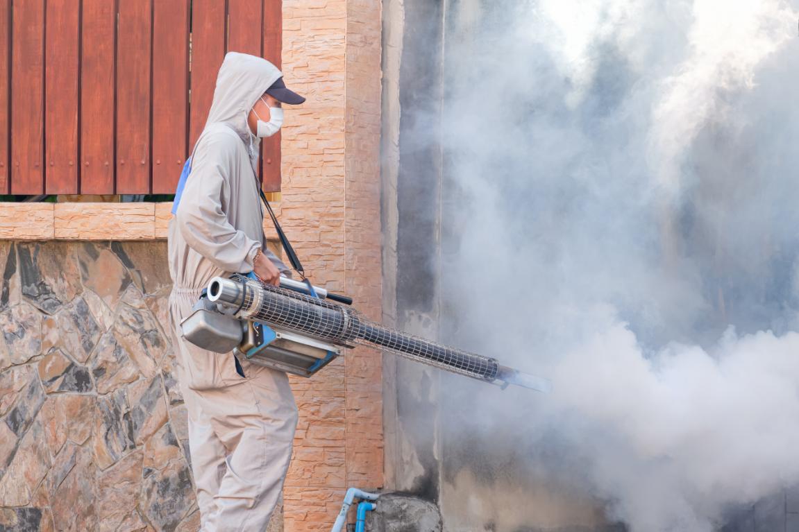 Professional worker spraying chemicals for mosquito removal